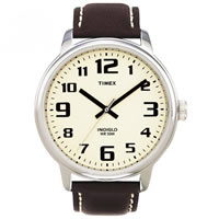 Buy Timex Watches Brown Leather Stainless Steel Gents Easy Reader Watch T28201 online
