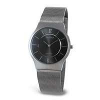 Buy Skagen Gents Titanium Watch 233LTTM online