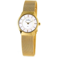 Buy Skagen Ladies Gold Tone Watch 233XSGG online