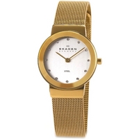 Buy Skagen Ladies Gold Tone Watch 358SGGD online