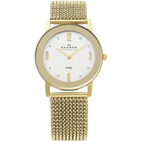 Buy Skagen Ladies Gold Tone Watch 39LGG1 online