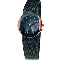 Buy Skagen Ladies Mesh Steel Bracelet Watch 589SRM online