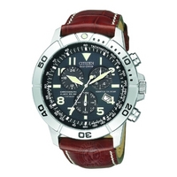 Buy Citizen Perpetual Calendar Watch BL5250-02 online