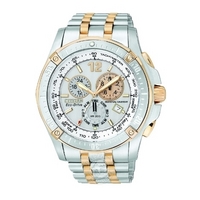 Buy Citizen Perpetual Calendar Watch BL5376-55A online