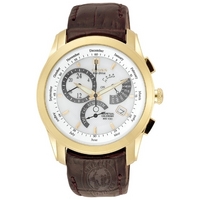 Buy Citizen Gents Calibre 8700 Watch BL8002-08A online