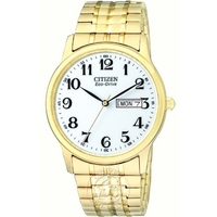 Buy Citizen Gents Eco Drive Watch BM8452-99A online