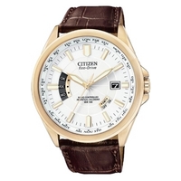 Buy Citizen World Perpetual A-T Watch CB0013-04A online