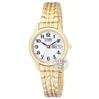 Buy Citizen Ladies Eco-Drive Watch EW3152-95A online