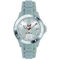 Buy Ice-Watch Silver Sili Watch SI.SR.S.S online