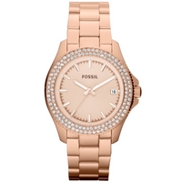 Buy Fossil Ladies Retro Traveller Watch AM4454 online