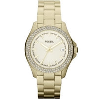 Buy Fossil Ladies Retro Traveller Watch AM4453 online