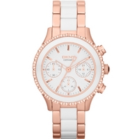 Buy DKNY Ladies Ceramix Watch NY8825 online