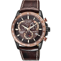 Buy Citizen Gents Perpetual Chrono A.T Watch AT4006-06X online