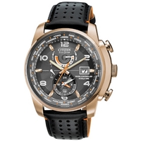 Buy Citizen Gents World Time A T Watch AT9013-03H online