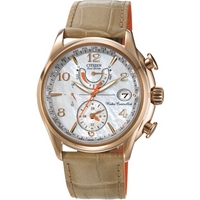 Buy Citizen Ladies Ladies World Time A T Chronograph Watch FC0003-18D online