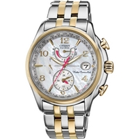 Buy Citizen Ladies Ladies World Time A T Chronograph Watch FC0004-58D online