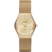 Buy Skagen Ladies Classic Watch SKW2045 online