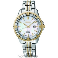 Buy Ladies Seiko Watch SUT072P9 online