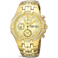 Buy Mens Pulsar Chronograph Watch PF8174X1 online