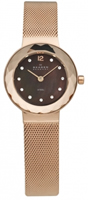 Buy Skagen Ladies Rose Gold IP Watch - 456SRR1 online