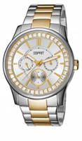 Buy Esprit Starlite Ladies Day-Date Display Watch - ES105442002 online