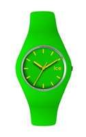 Buy Ice-Watch Ice Unisex Watch - ICE.GN.U.S.12 online