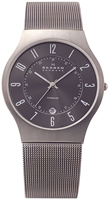 Buy Mens Grey Titanium Skagen Watch online