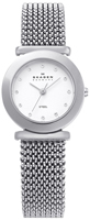 Buy Ladies Silver Expandable Skagen Watch online