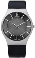 Buy Mens Stainless Steel Skagen Leather Watch online