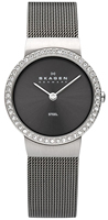 Buy Ladies Stainless Steel Skagen Watch online