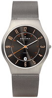 Buy Mens Grey Titanium Skagen Watch online