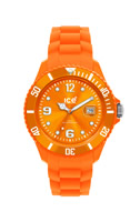 Buy Unisex Ice SIOEBS09 Watches online