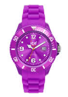 Buy Unisex Ice SIPEBS09 Watches online