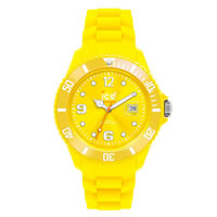 Buy Unisex Ice Watches SIYWSS09 Watches online