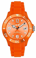 Buy Unisex Ice SIOEUS09 Watches online