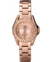 Buy Fossil Ladies Riley Mini Bracelet Watch online