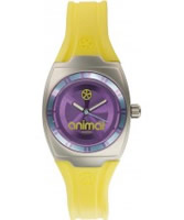 Buy Animal Ladies Jelli Kelli Yellow Watch online